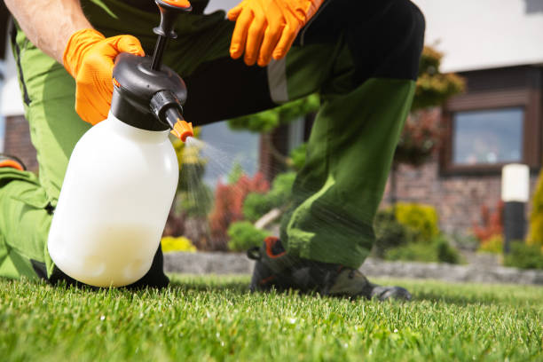 Best Residential Pest Control  in Exeter, CA