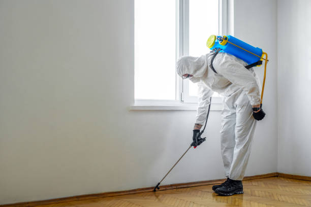 Best Pest Control Near Me  in Exeter, CA