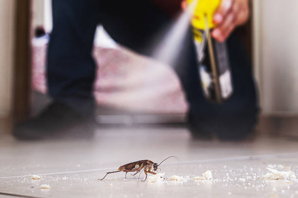 Best Termite Control Services  in Exeter, CA