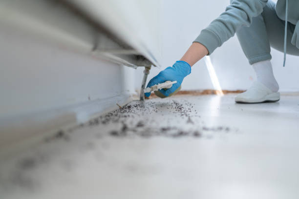 Best Pest Prevention Services  in Exeter, CA